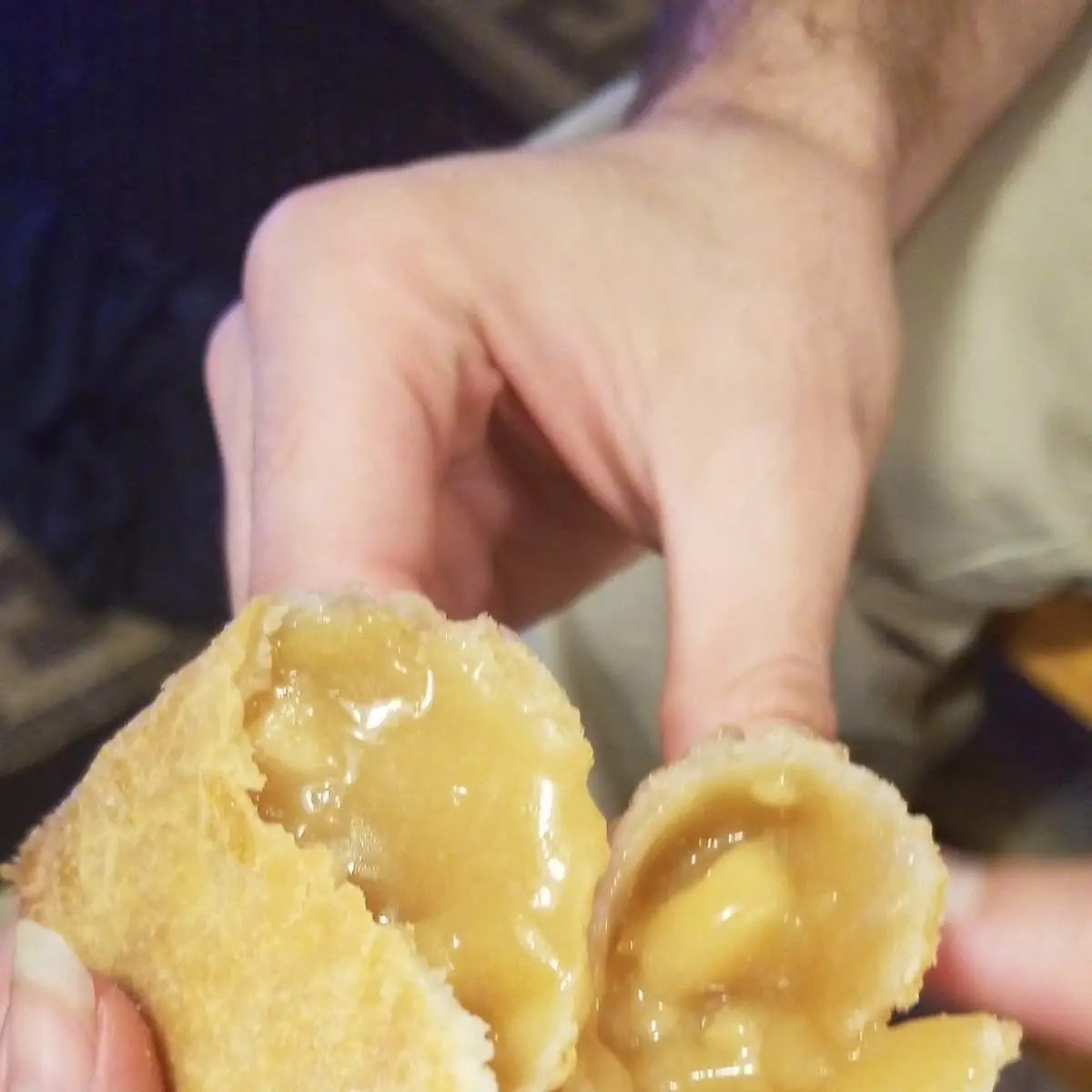 Apple Empanada
