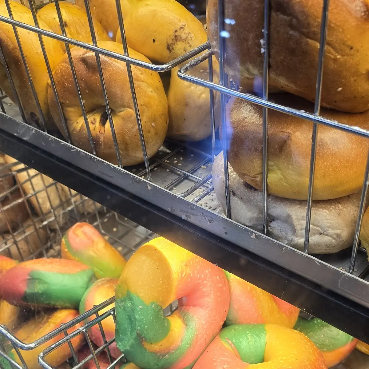 Assorted Bagels