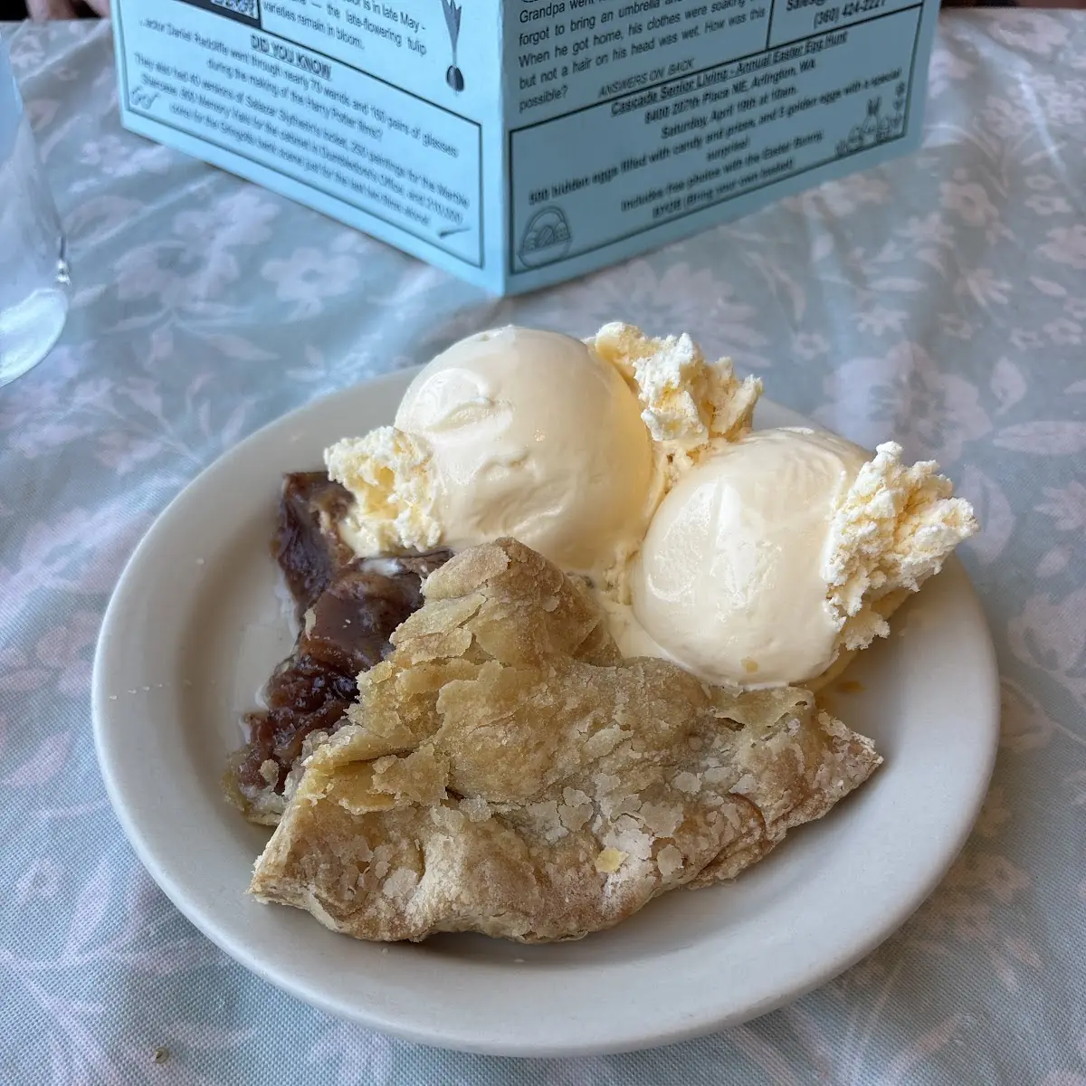 Apple Pie and Icecream
