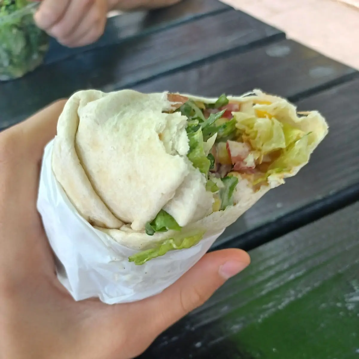 Chicken Crispy Wraps
