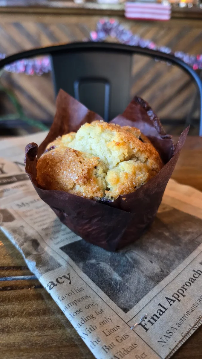 Blueberry Muffin