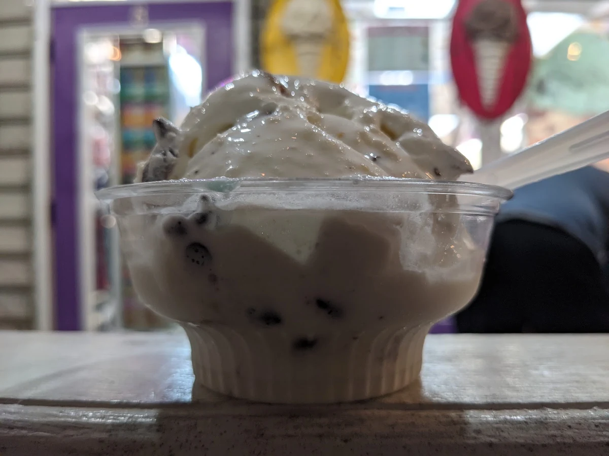 Coconut Almond Chocolate Chip Ice Cream