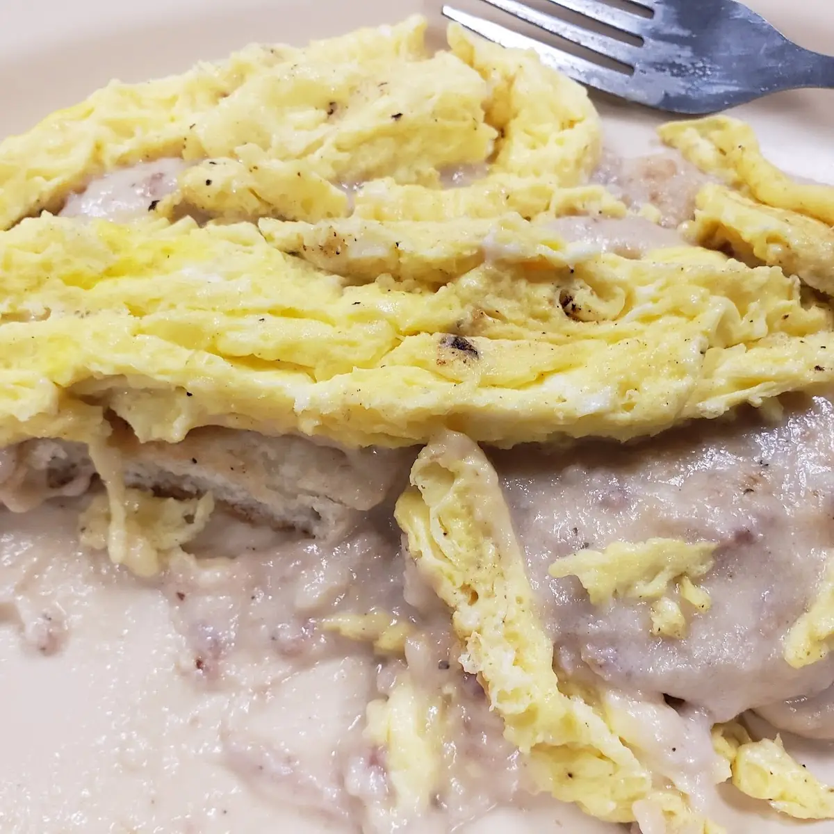 Atkins Omelette