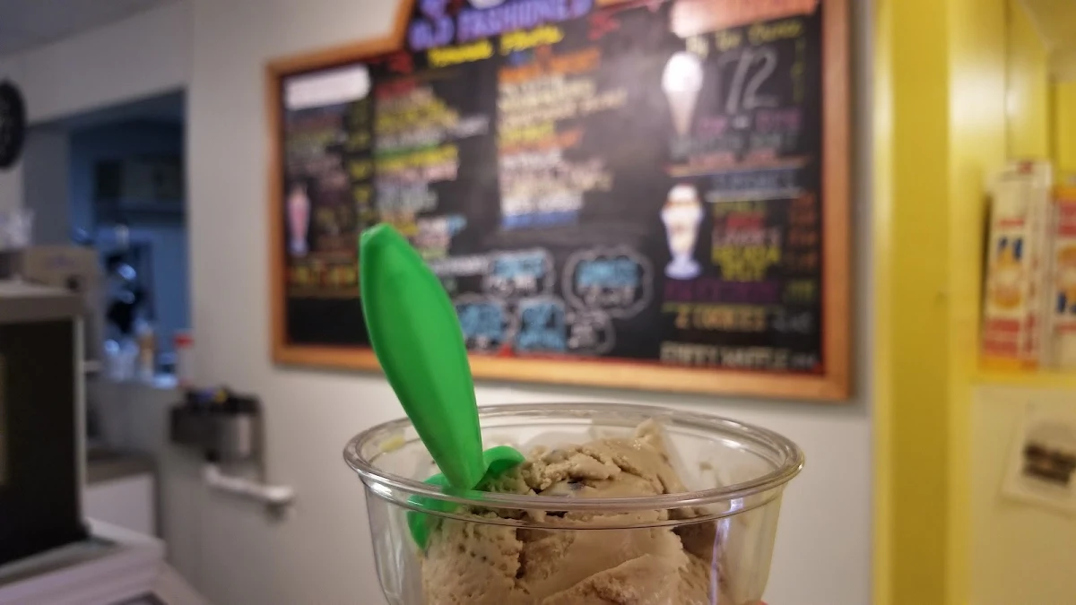 Mocha Chocolate Chip