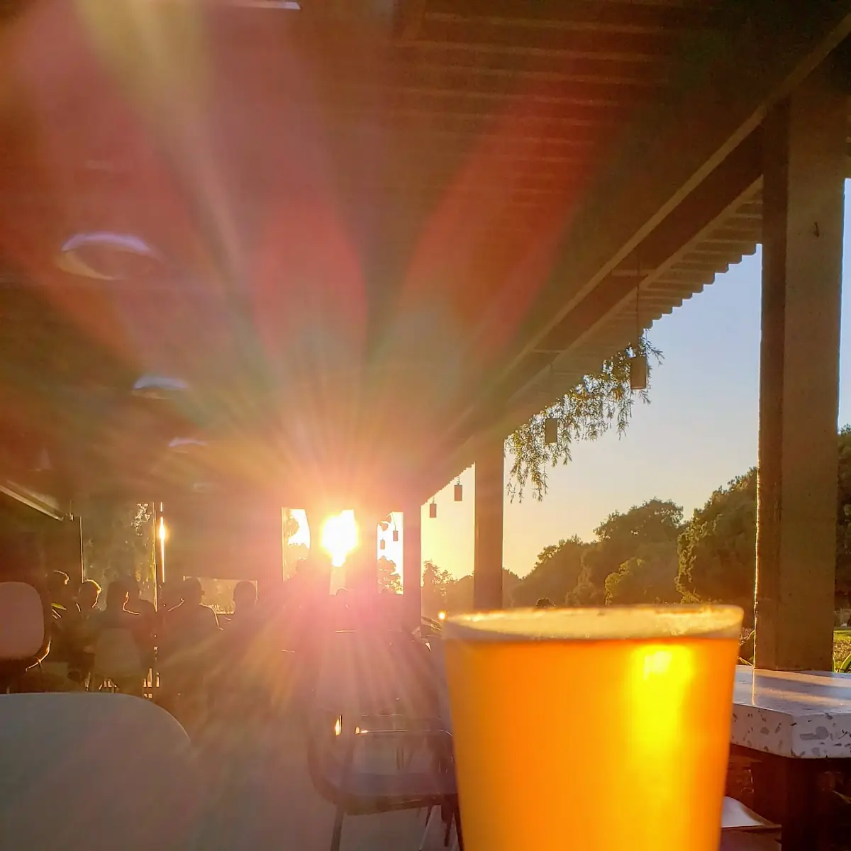 Draft Beers