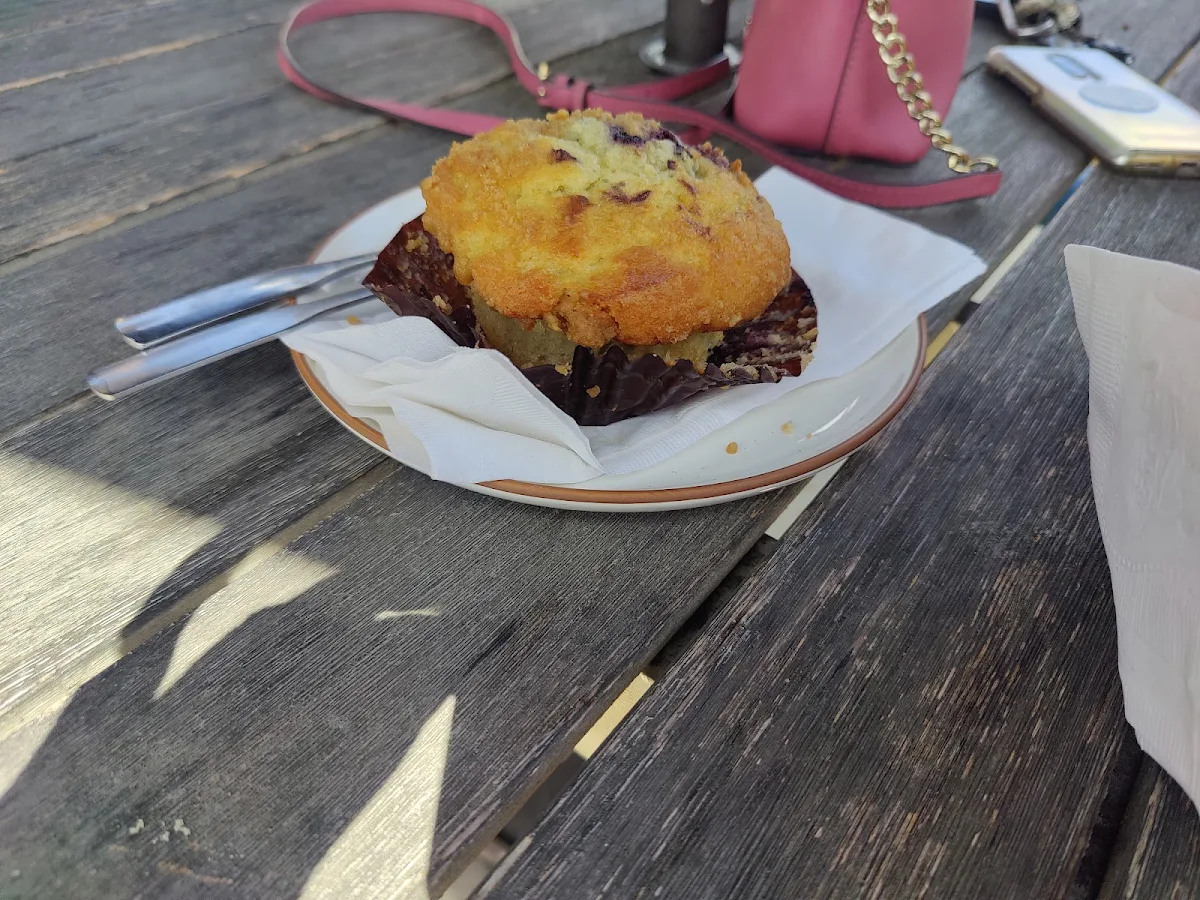 Blueberry Muffin