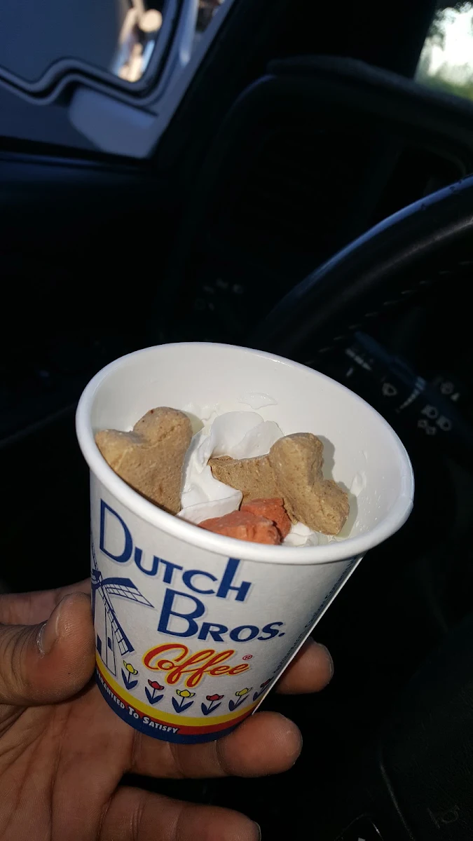 Whip Cream