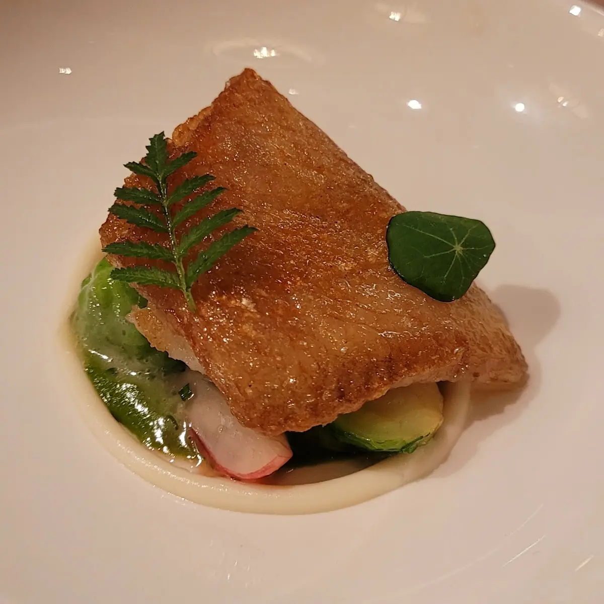 Grilled Salmon