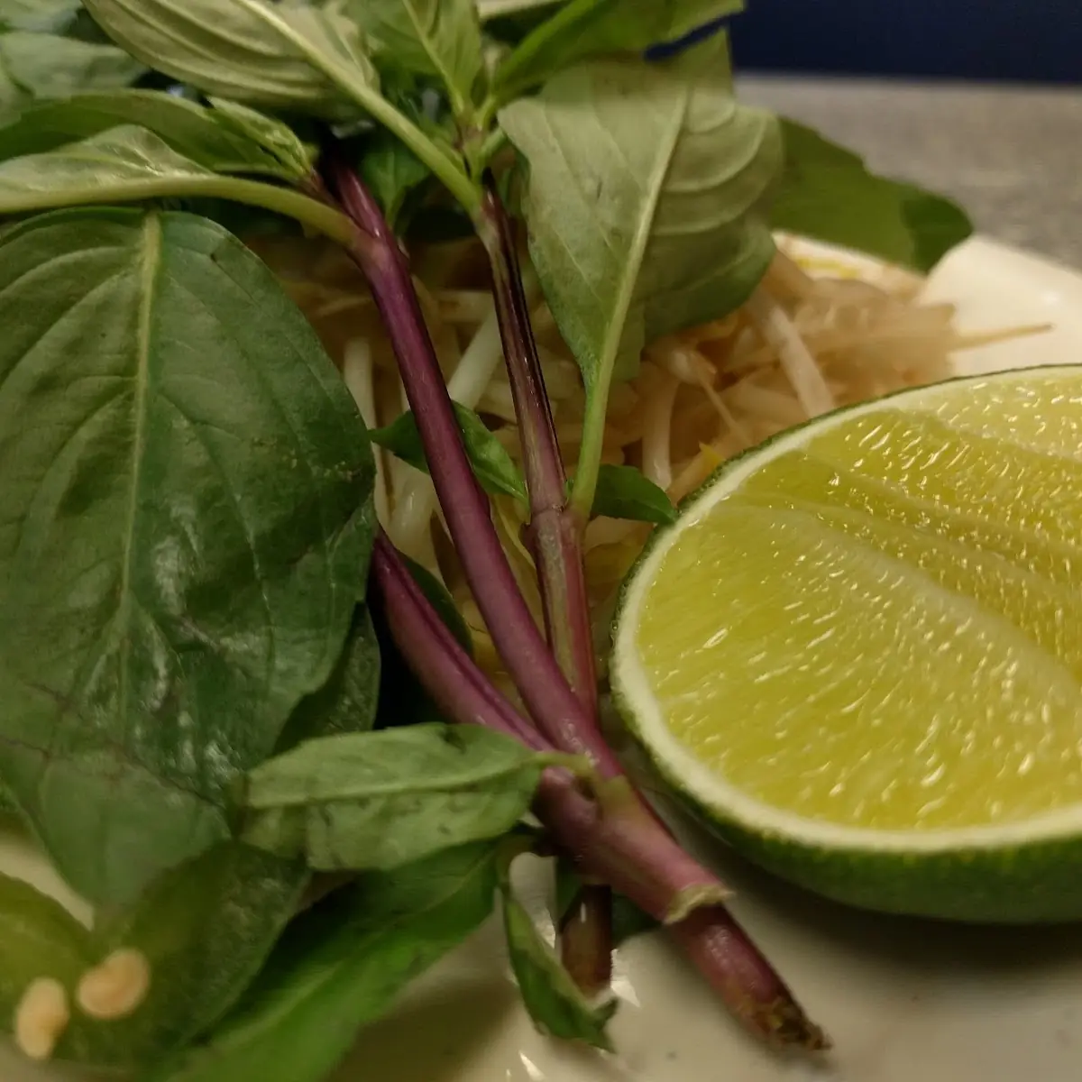 Pho Bo