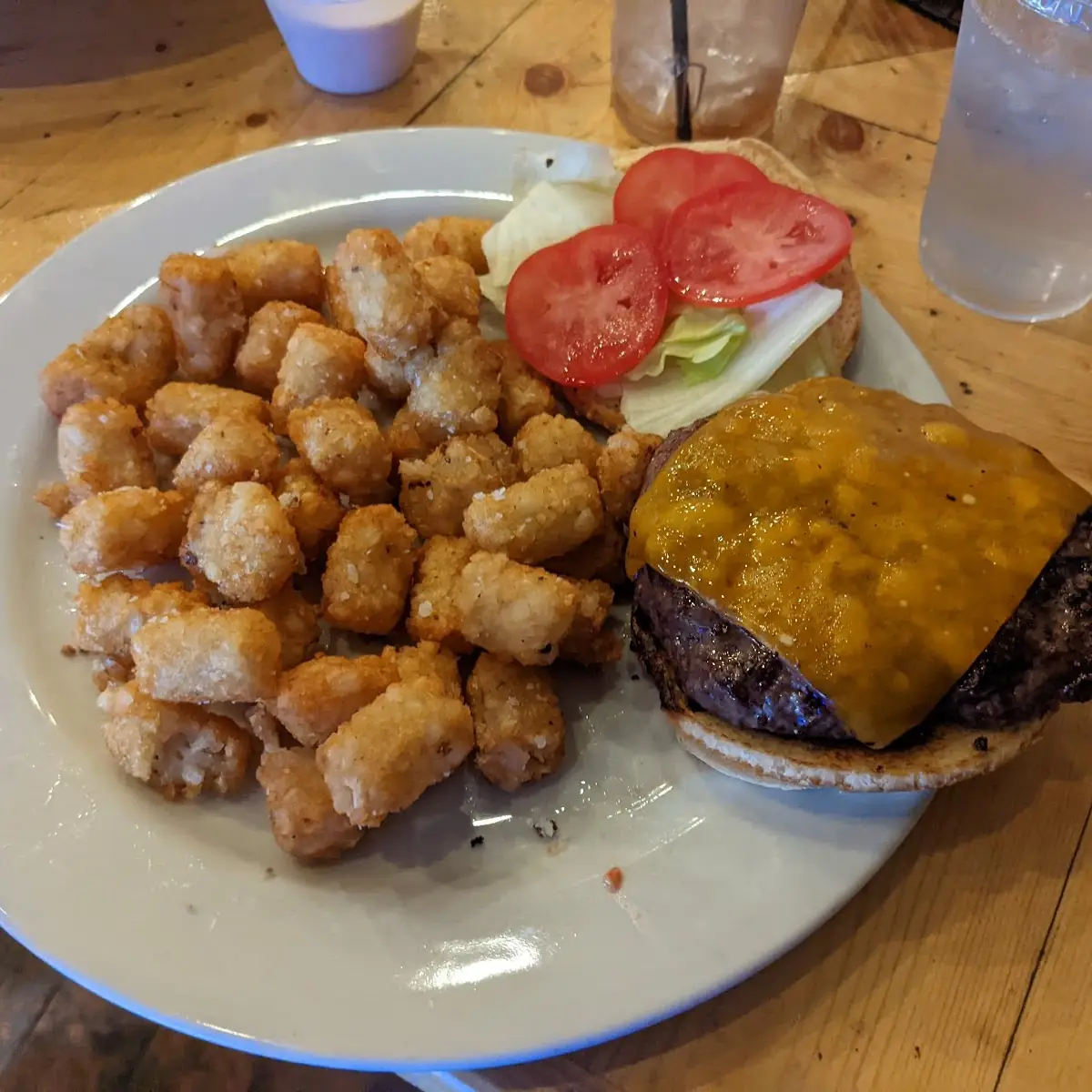Bison Burger
