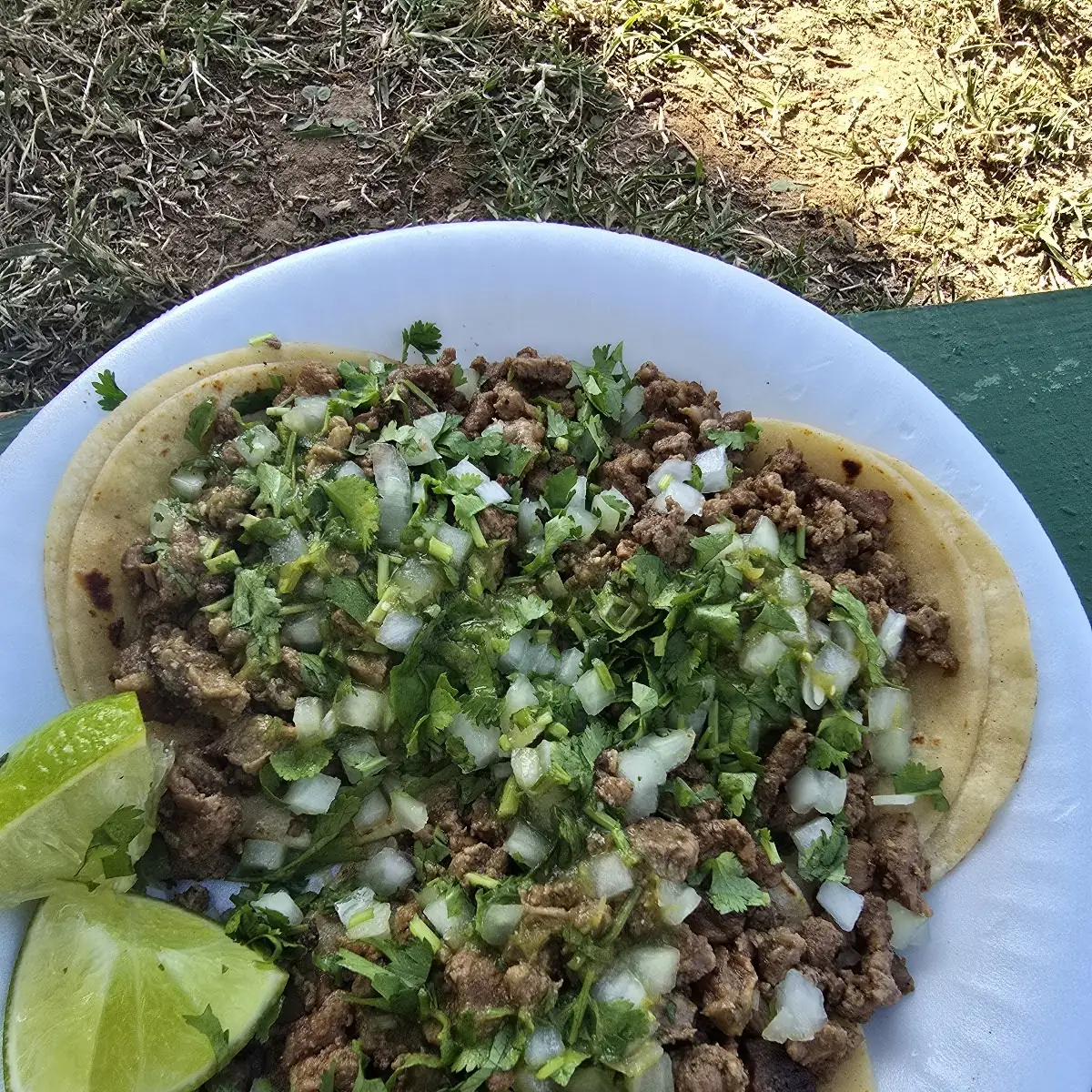 Carne Asada Taco