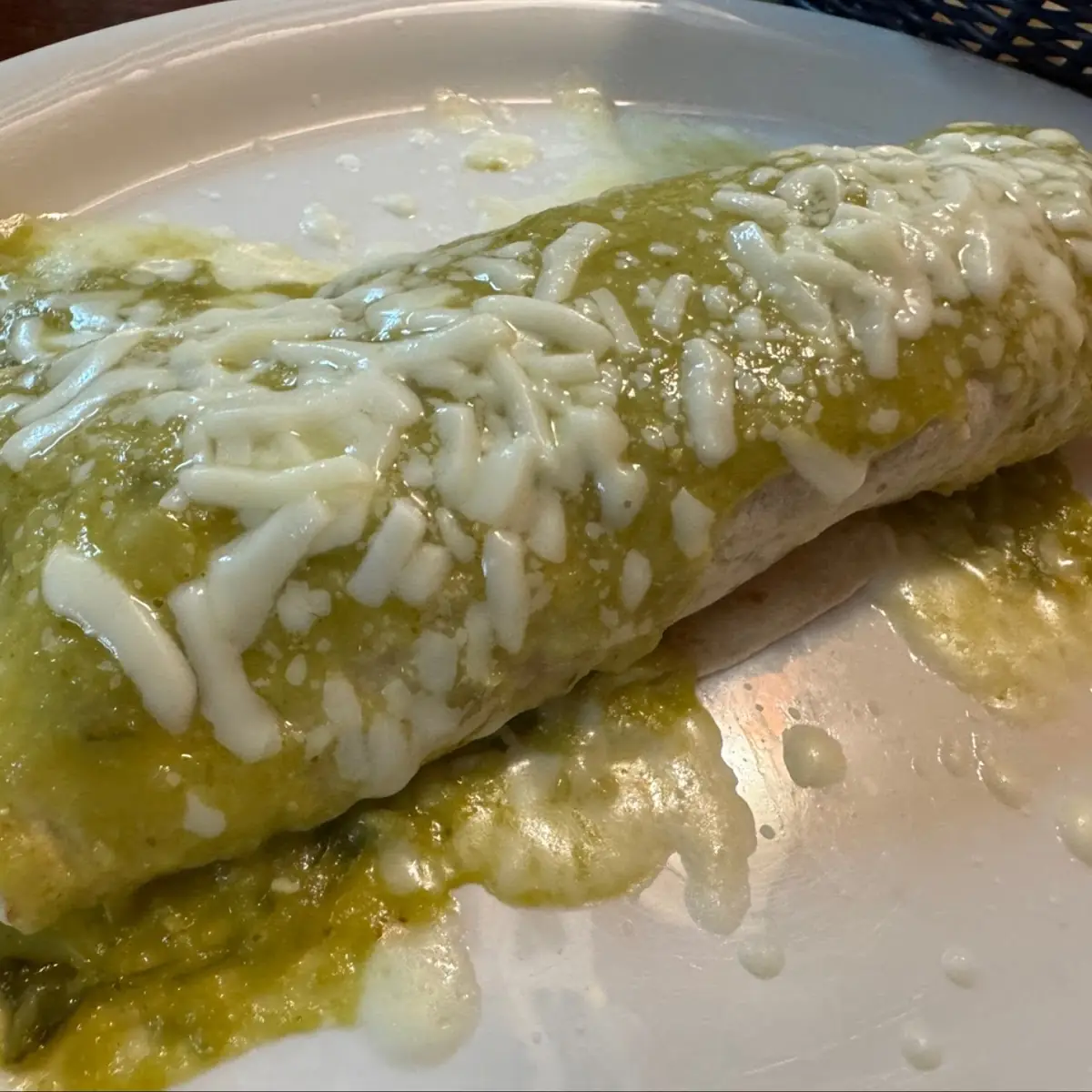 Veggie Burrito with Salsa