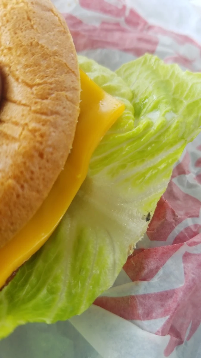Jr Cheeseburger Deluxe