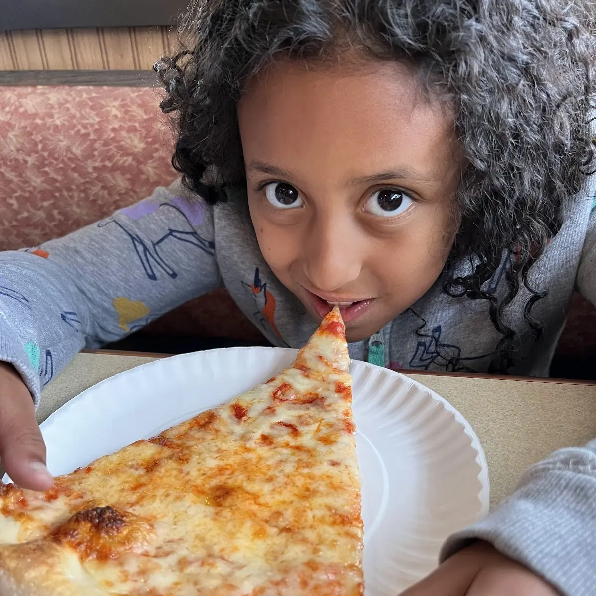 Plain Cheese Pizza Slice