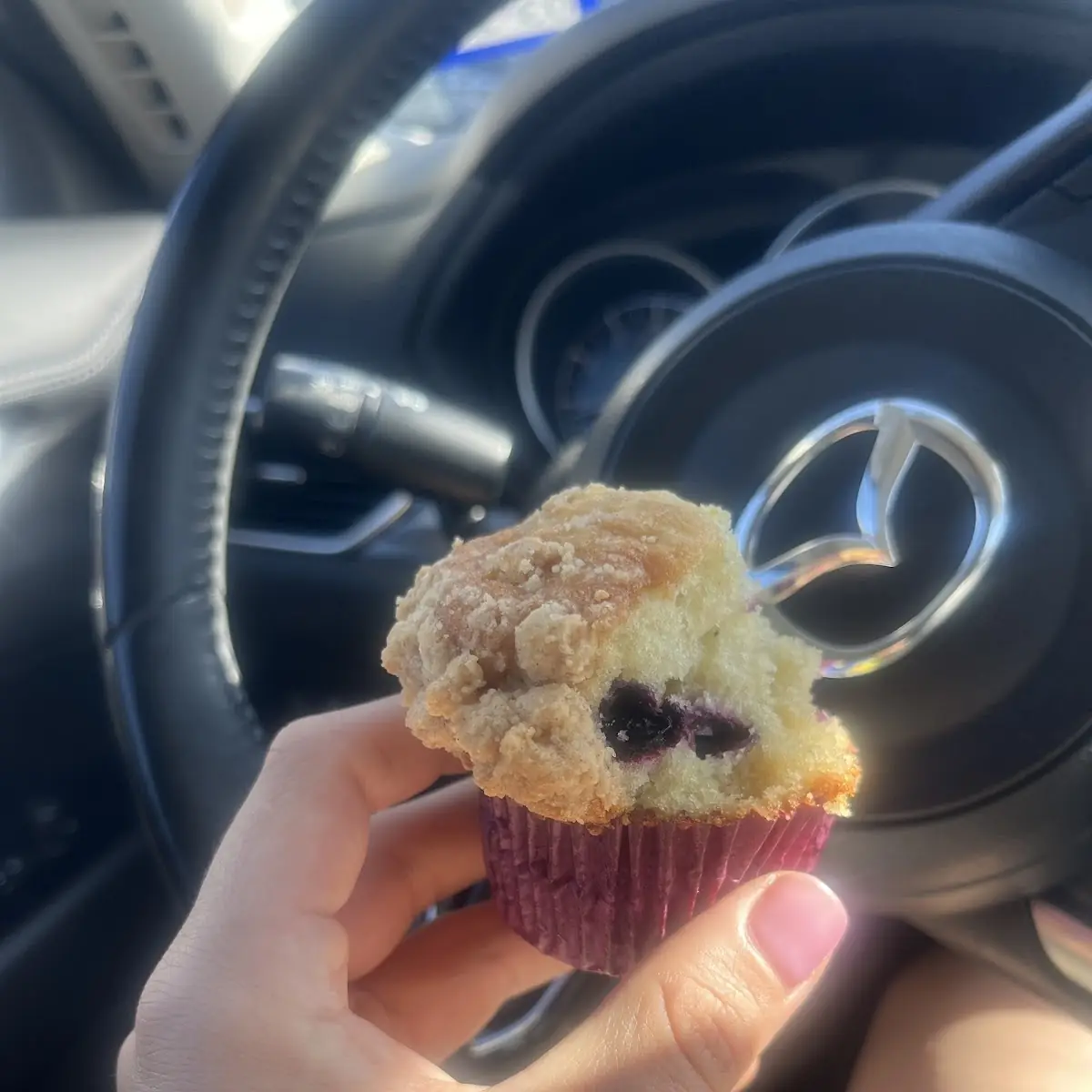 Blueberry Muffin