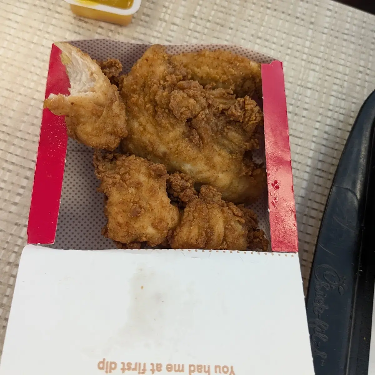 Chicken Strips