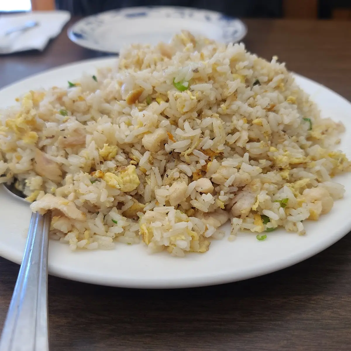 Salted Fish and Chicken Fried Rice