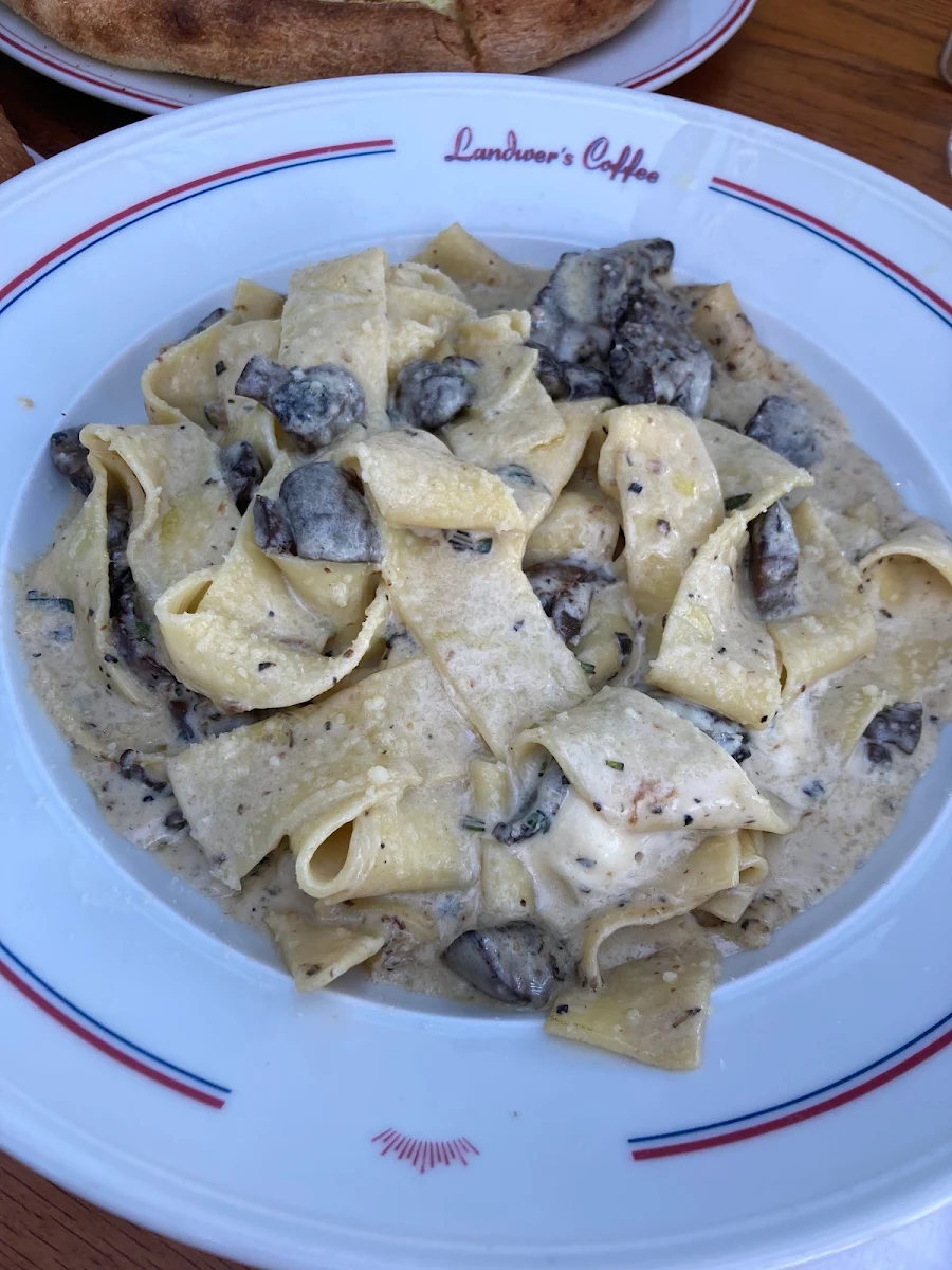 Truffle Mushroom & Cream Pappardelle, Cafe Landwer