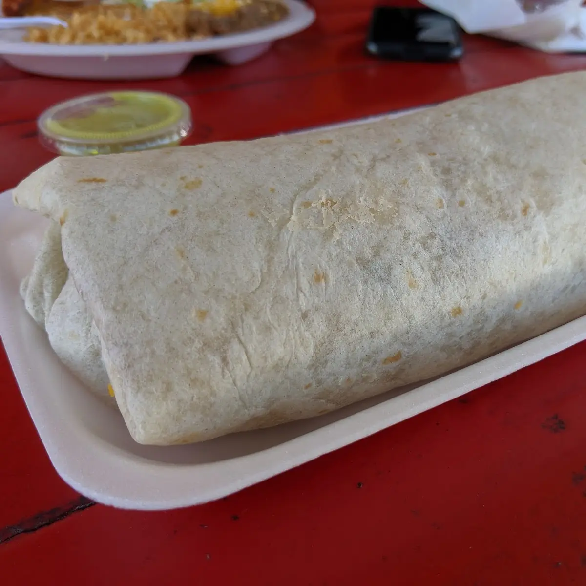 Vegetable Burrito