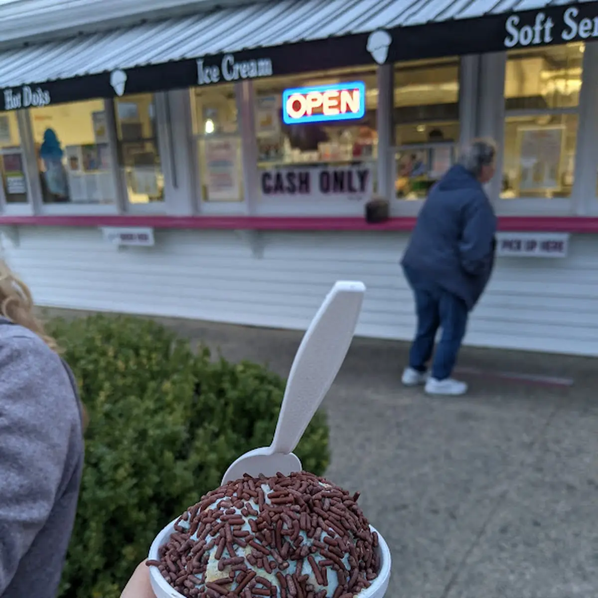 Cookie Monster Ice Cream with Chocolate Sprinkles