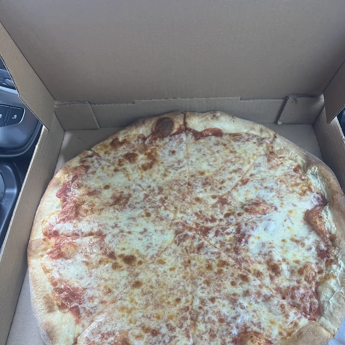 Plain Cheese Pizza