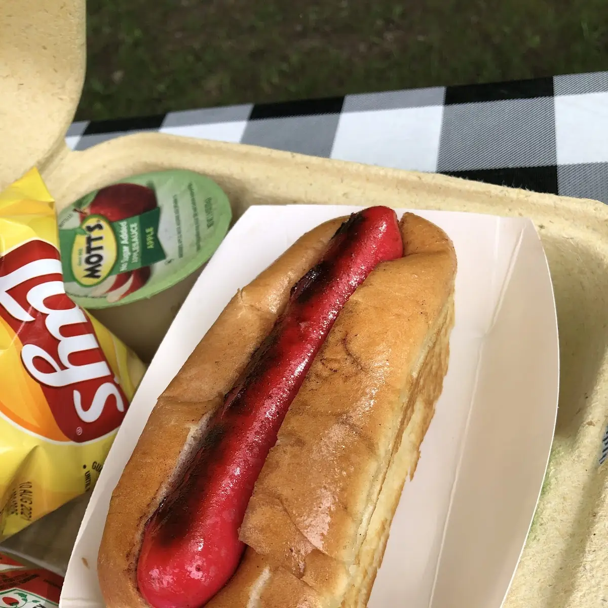 Grilled Hot Dog