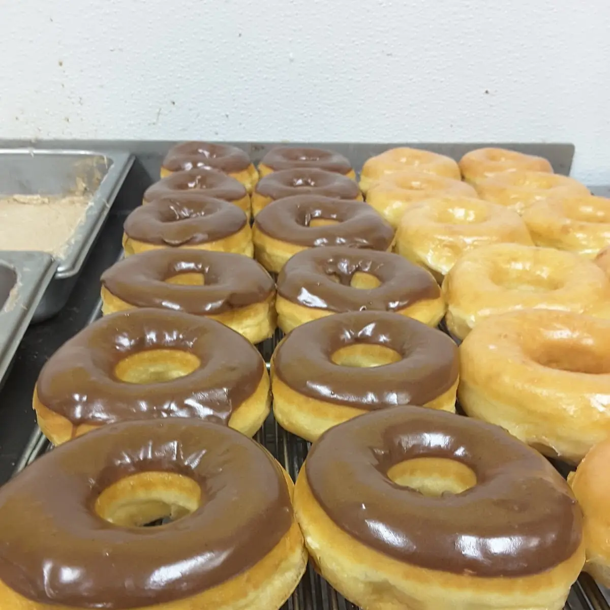 Doughnut