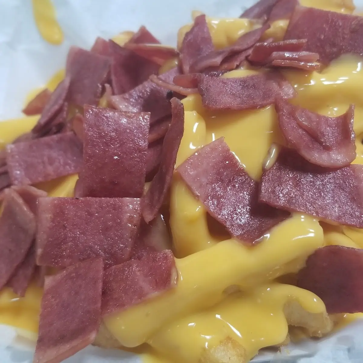 Bacon Cheese Fries