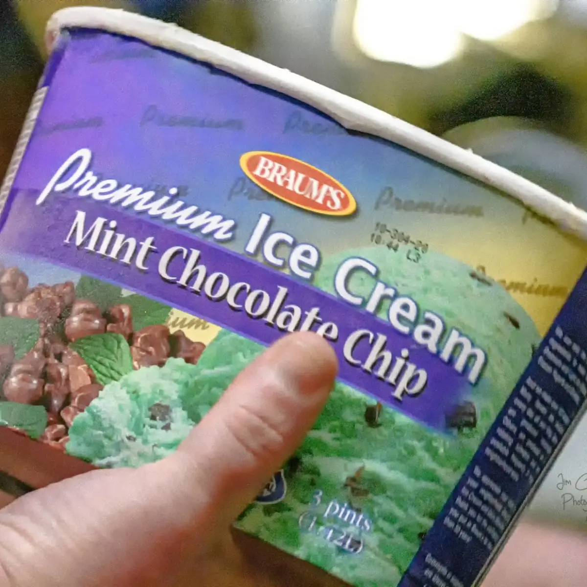 Mint Chocolate Chip Ice Cream
