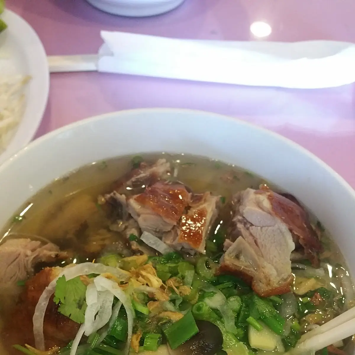 Roasted Duck Noodle Soup Noodle