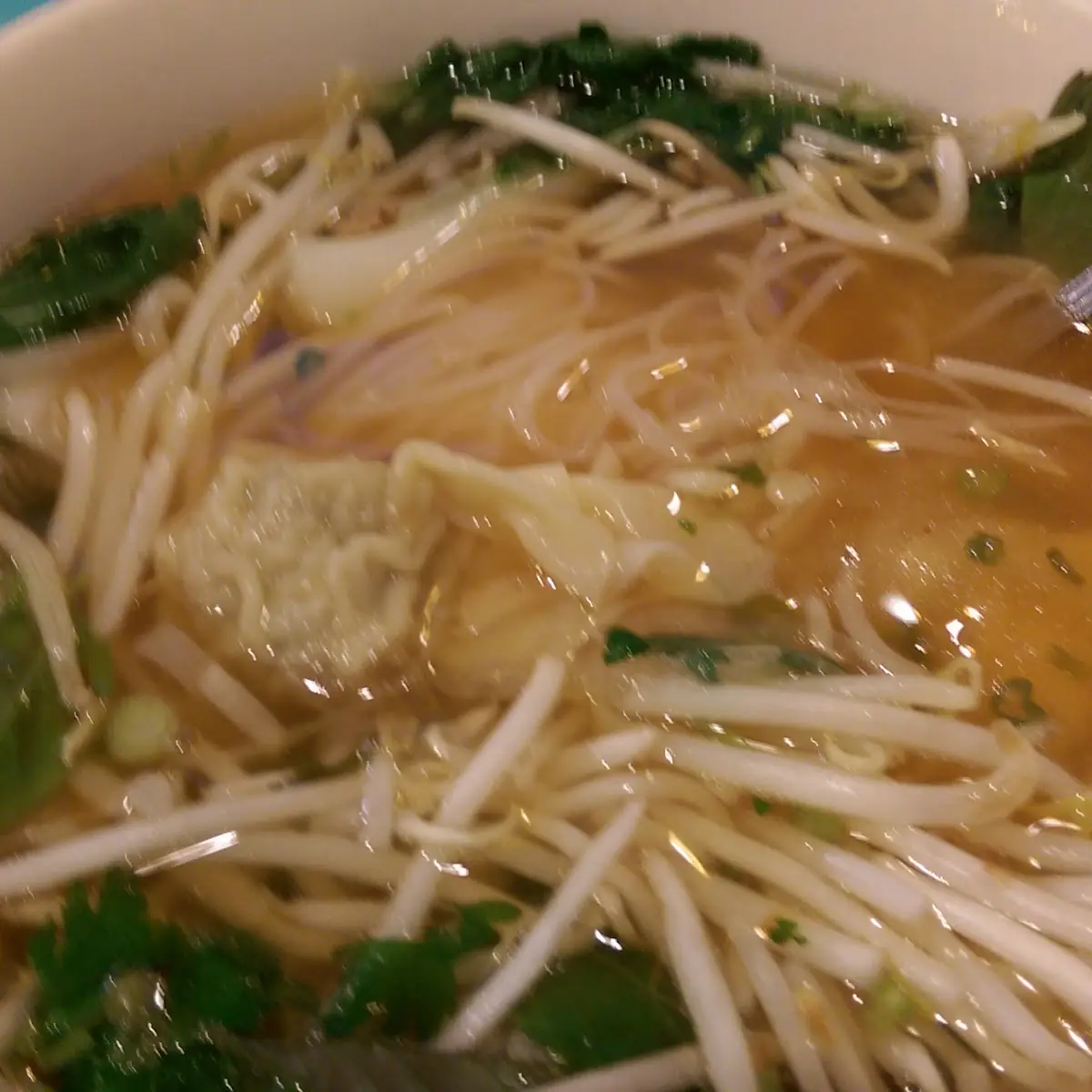 Wonton Noodle Soup