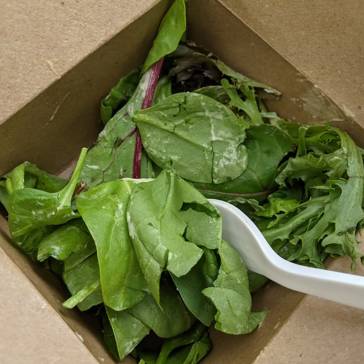 Simple Mixed Greens