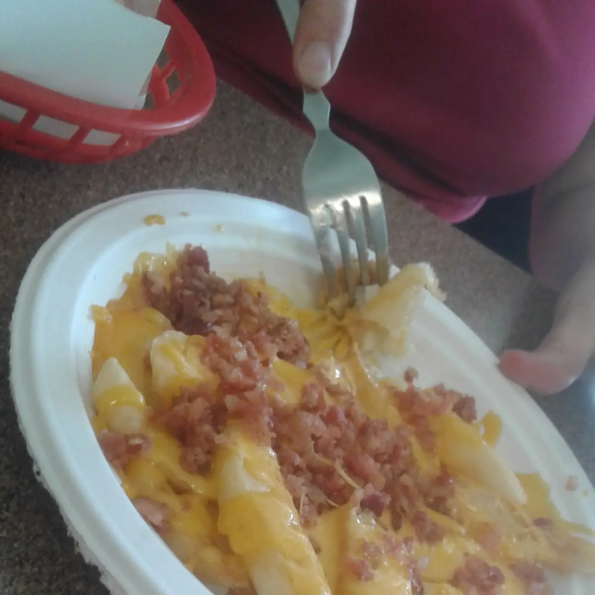 Cheese Fries