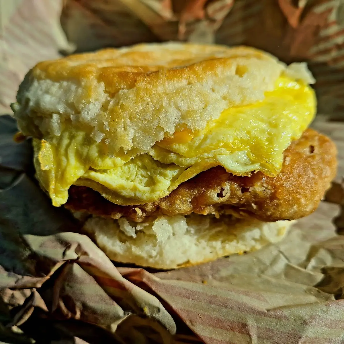 Bacon Egg Cheese Chicken Biscuit
