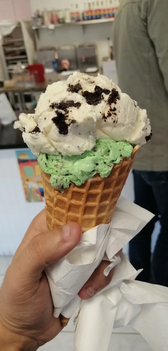 Chocolate Chip