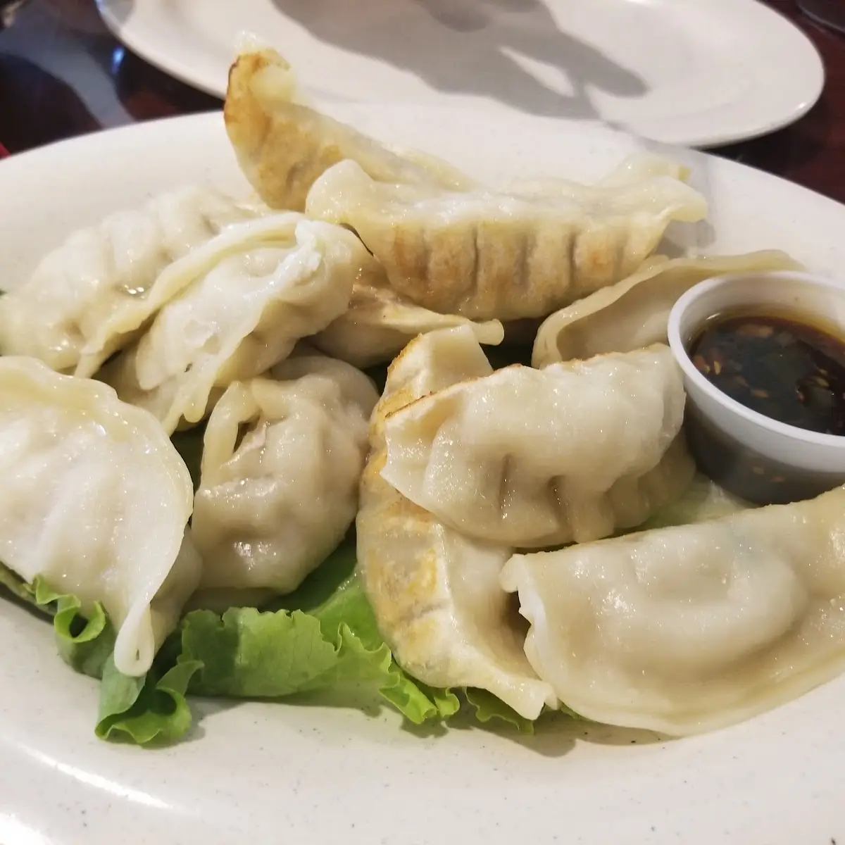 Pan Fried Pork Pot Stickers