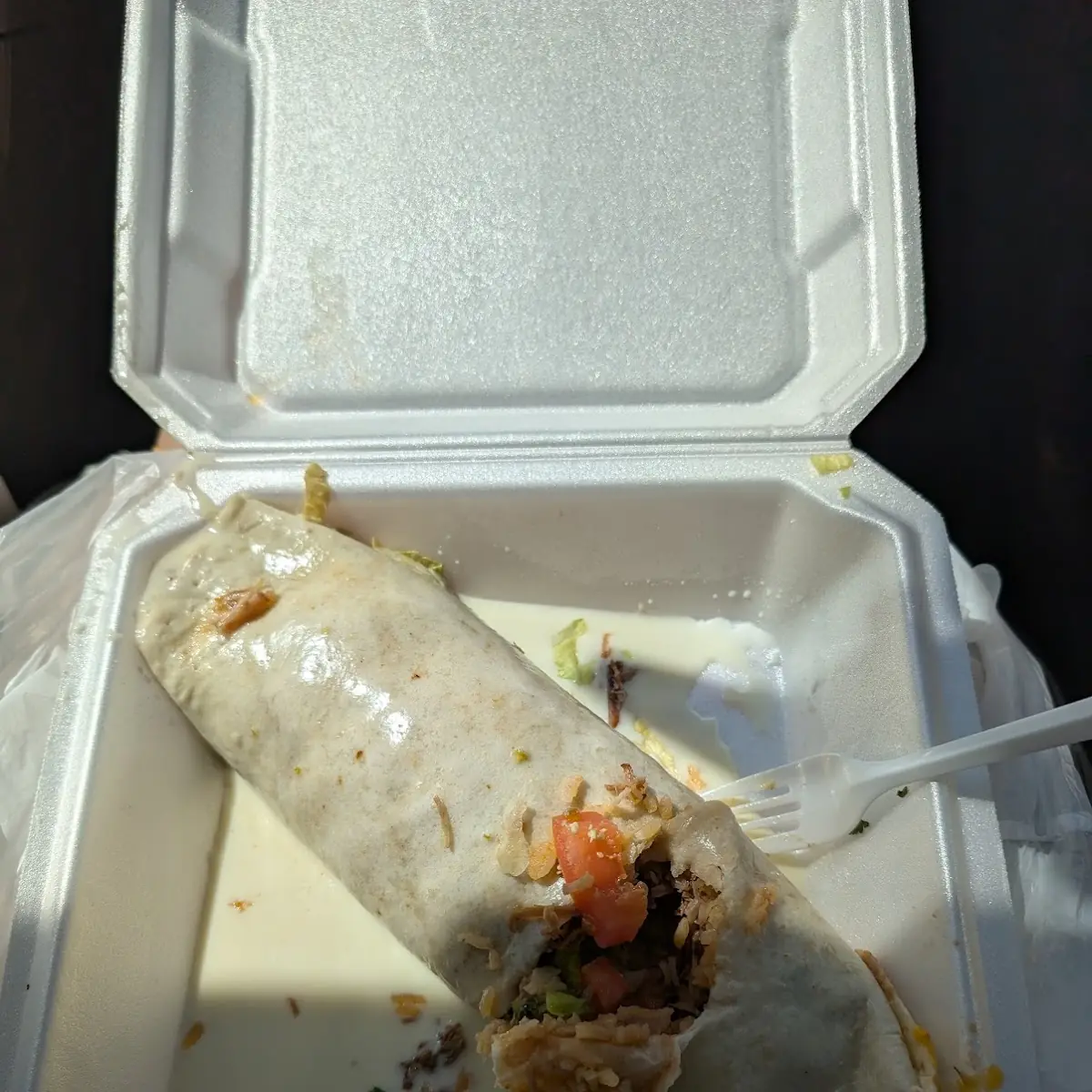 Monster Burrito