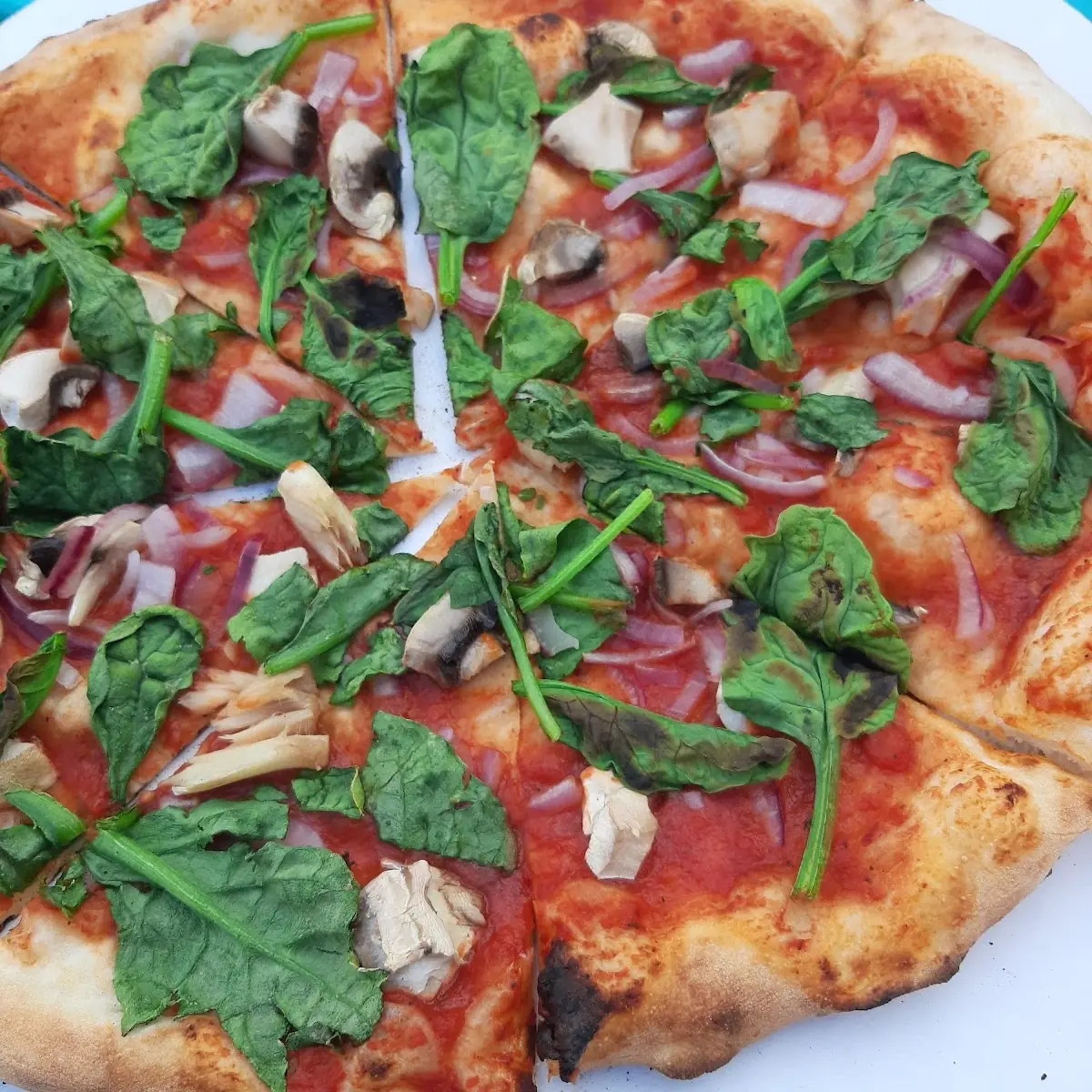 Cheese Pizza