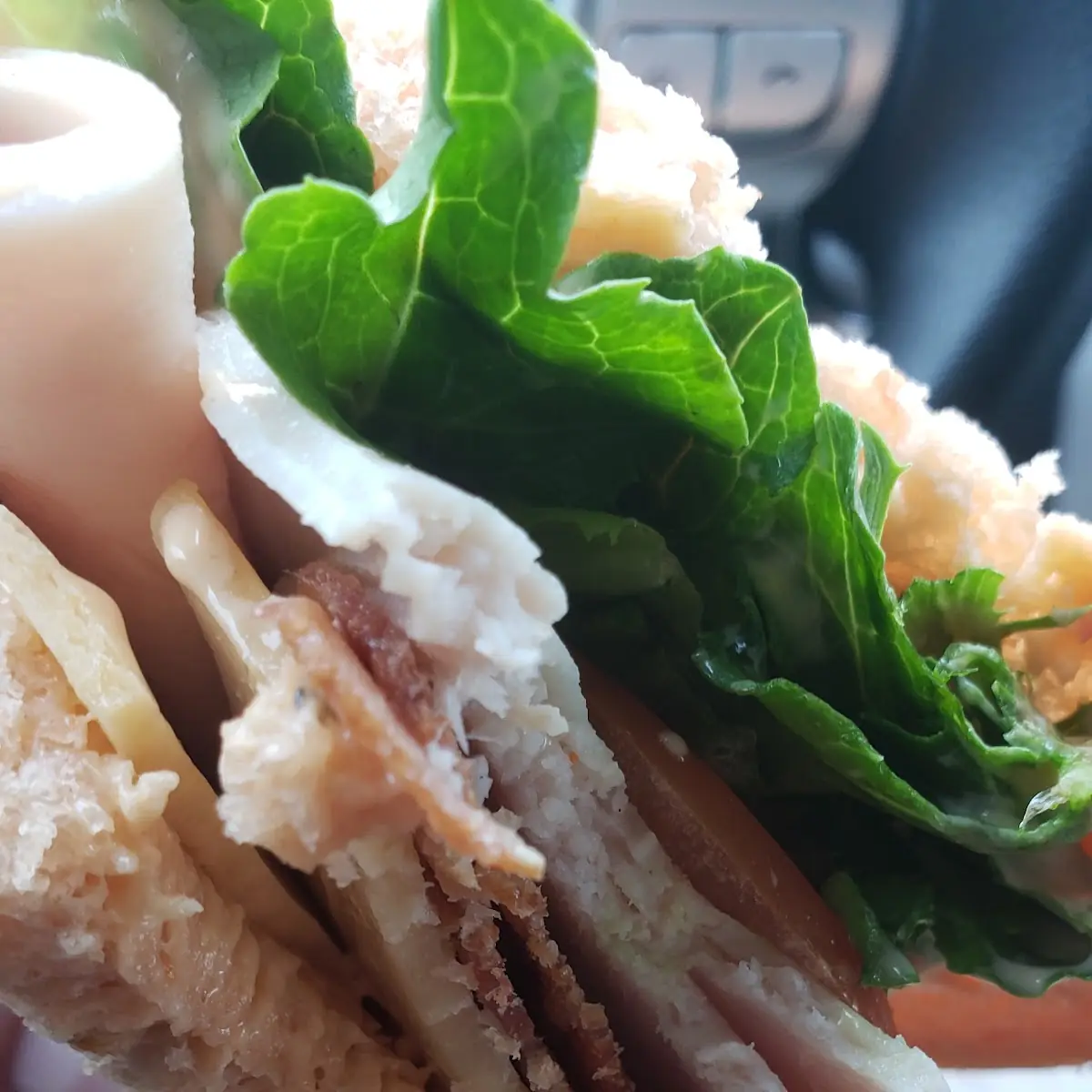 Turkey Bacon Bravo