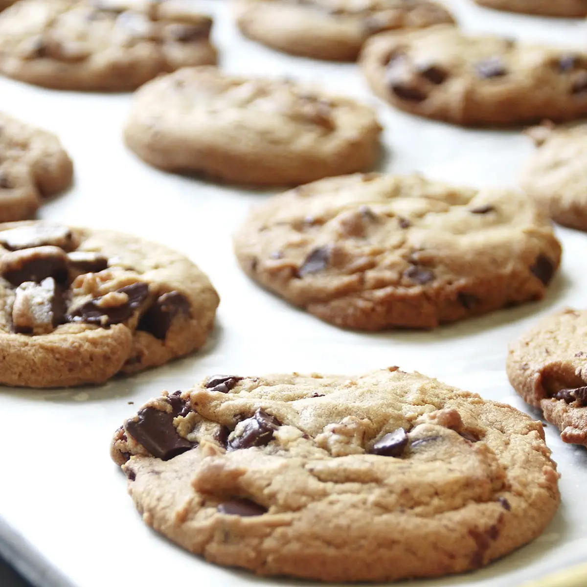 Chocolate Chunk Cookie