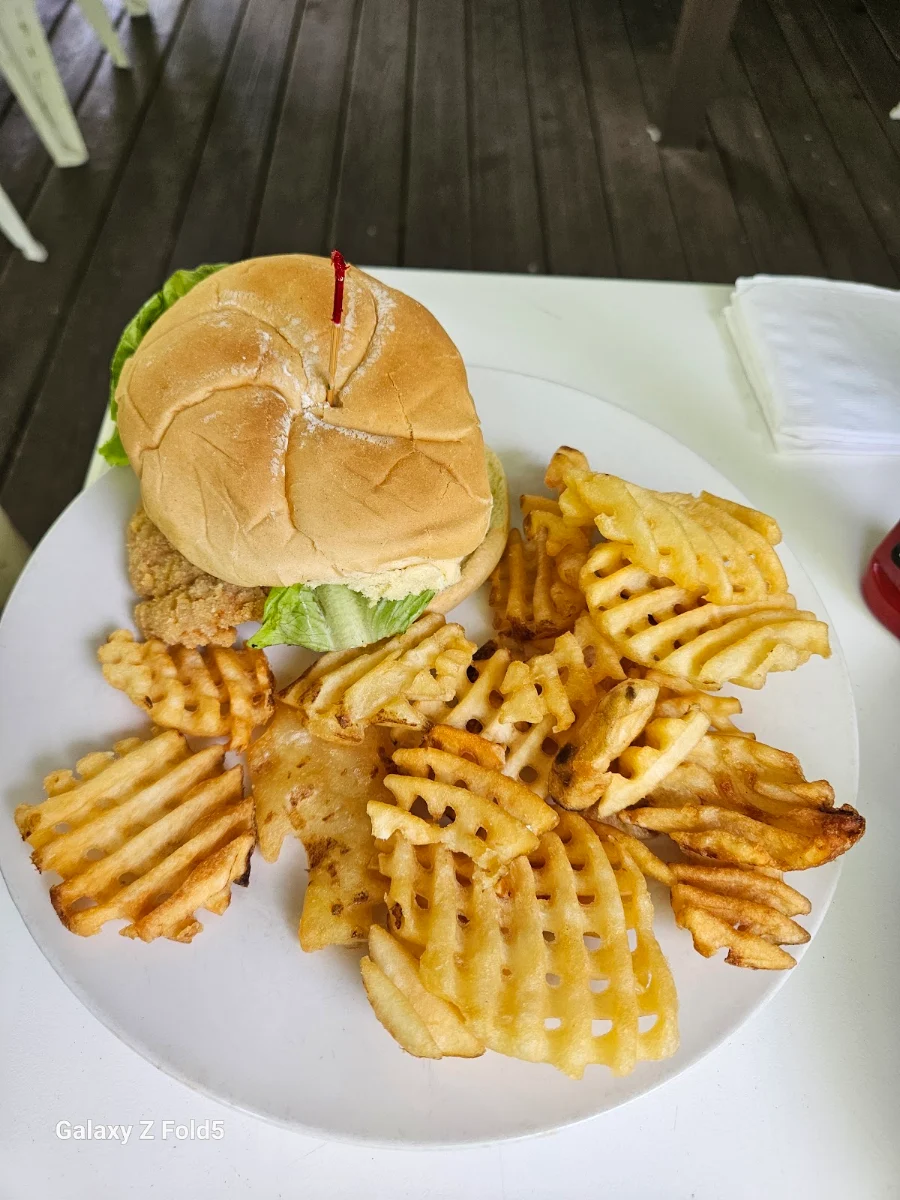 Tenderloin with Waffle Fries