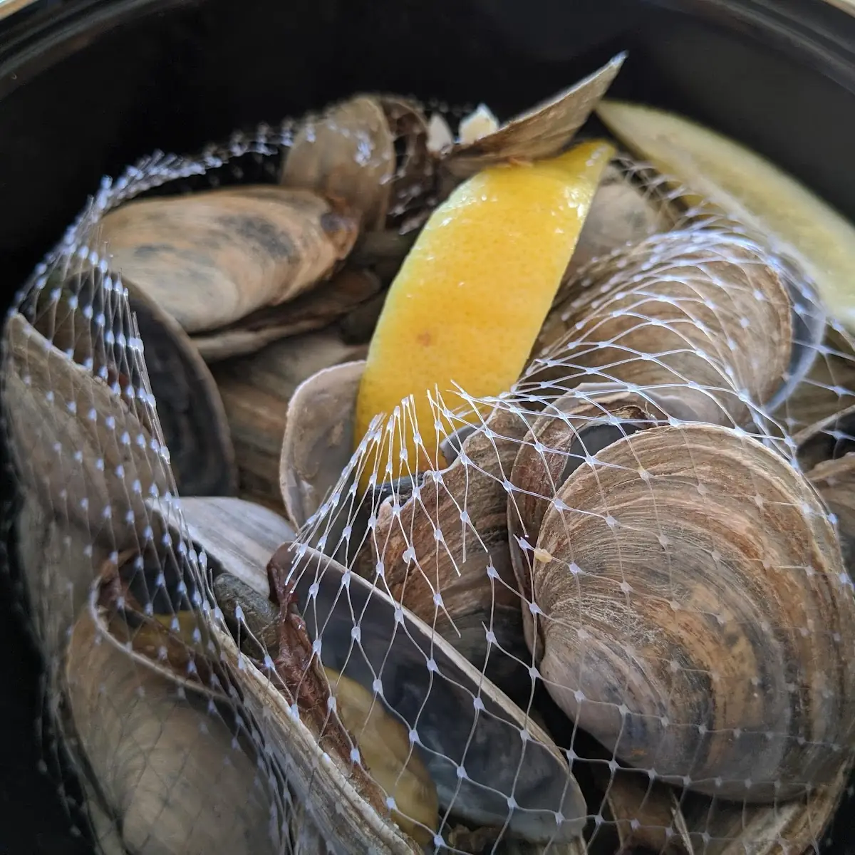 Clam Chowder