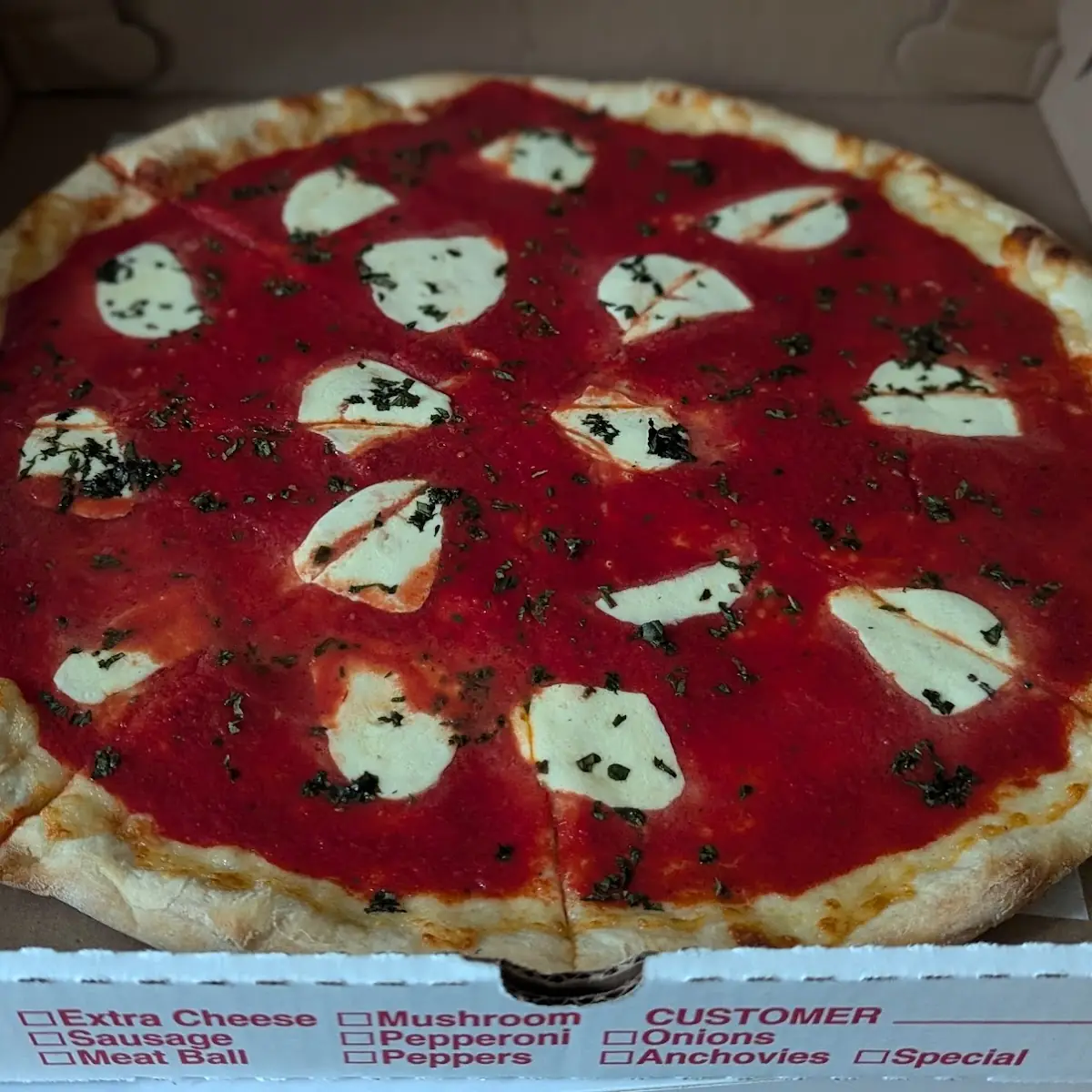 Two Brother's Pizza Margherita Pizza