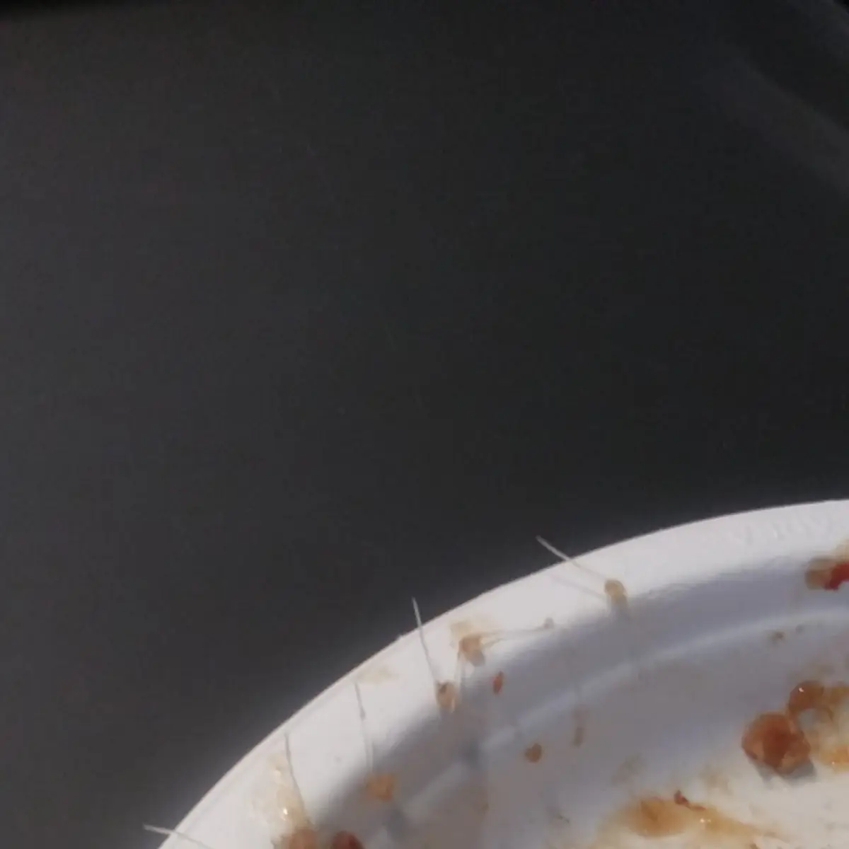 Egg Roll (2)