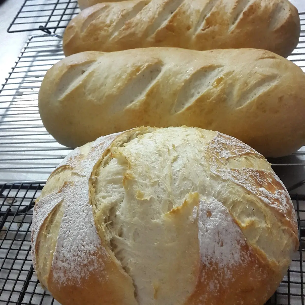 French Bread