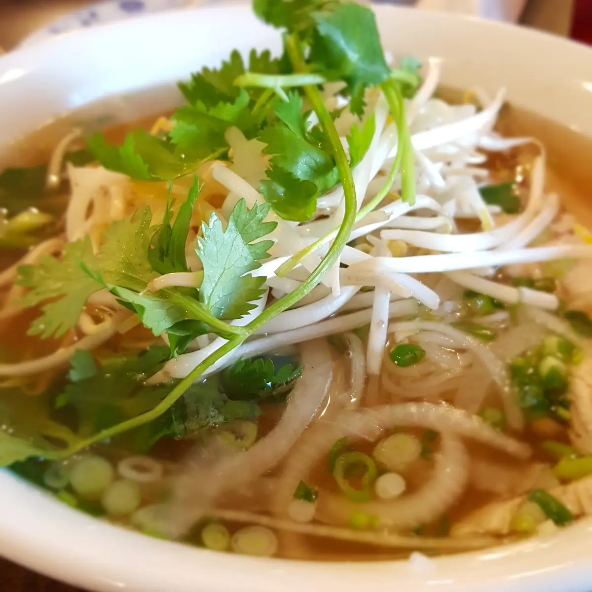 Spicy Chicken Pho