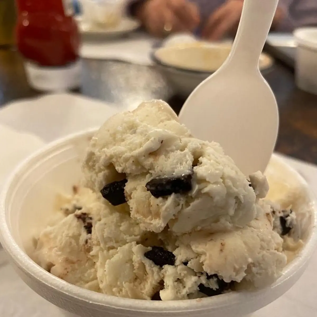 Vanilla Chocolate Chips Ice Cream