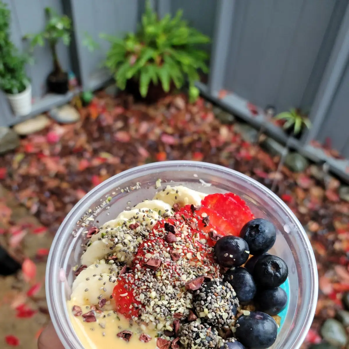 Power Protein Bowl