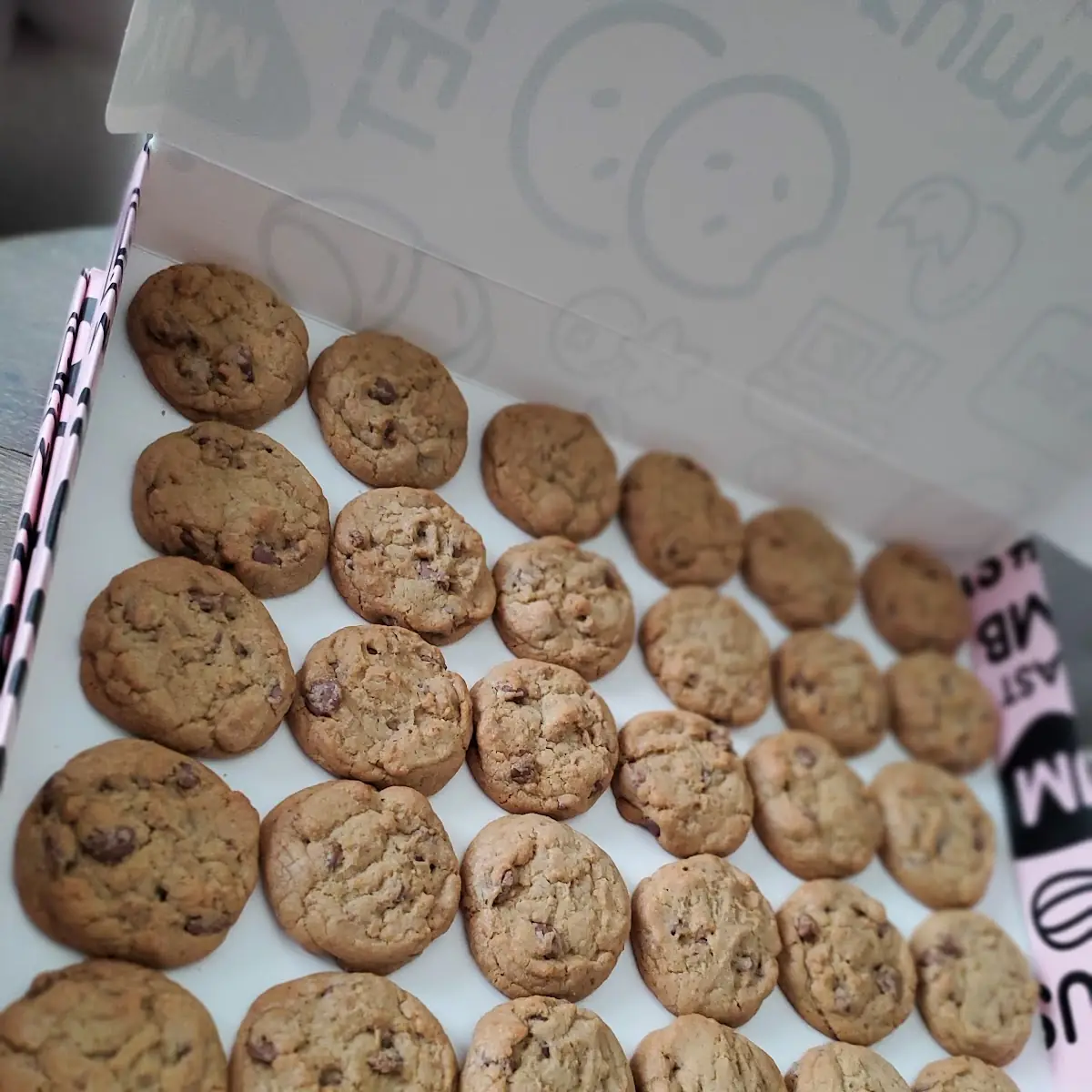 Chocolate Chip