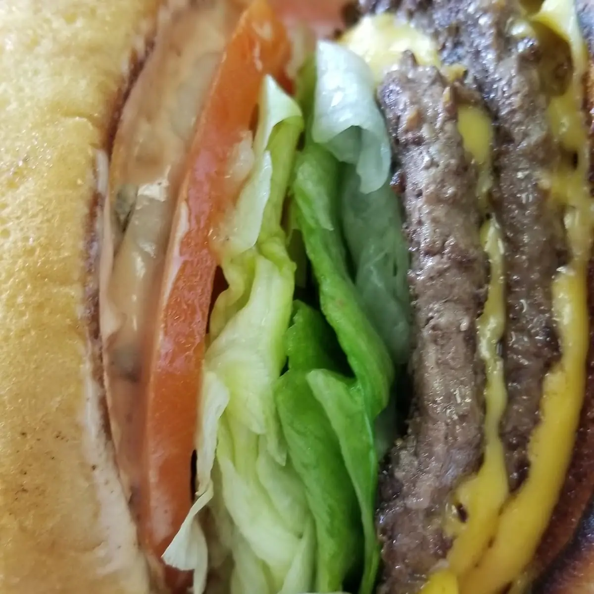 Double Double Cheeseburger